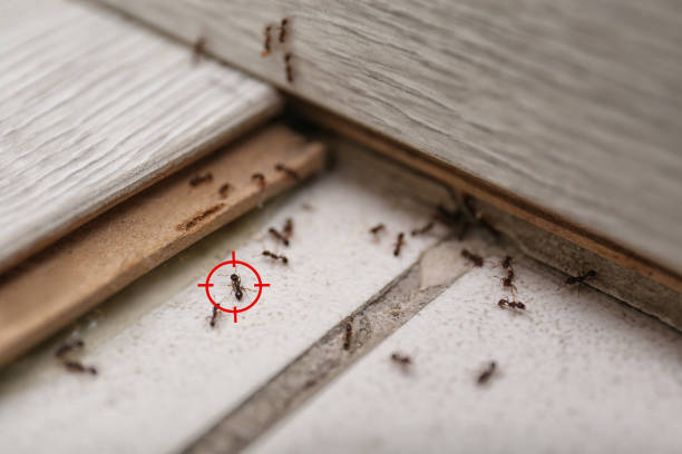 Pest Control Cost in Union Park, FL