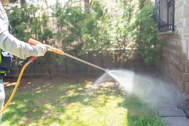 Best Pest Control for Homes  in Union Park, FL