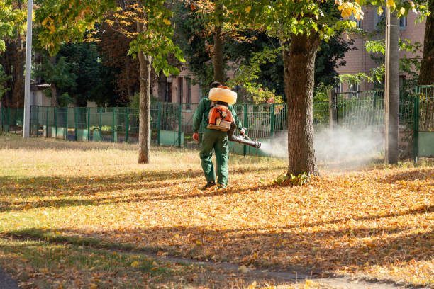 Reliable Union Park, FL Pest Control Solutions